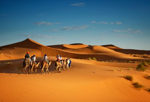 Kamelsafari Shutterstock 1060904396