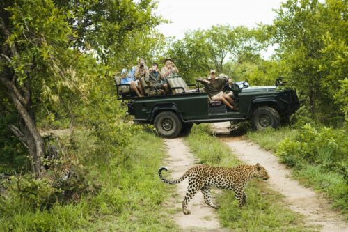 Safari Gruppenreise Shutterstock 145434481