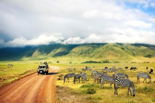 Safari Nationalpark Ngorongoro, Tansania Shutterstock 1238975587