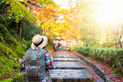 Tourist,Is,Traveling,And,Sightseeing,In,The,Park,During,Autumn