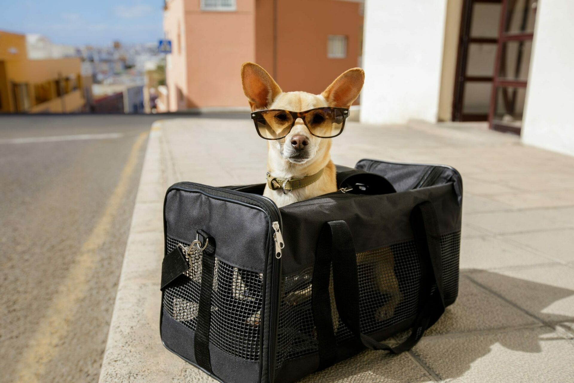 Shutterstock 763043470